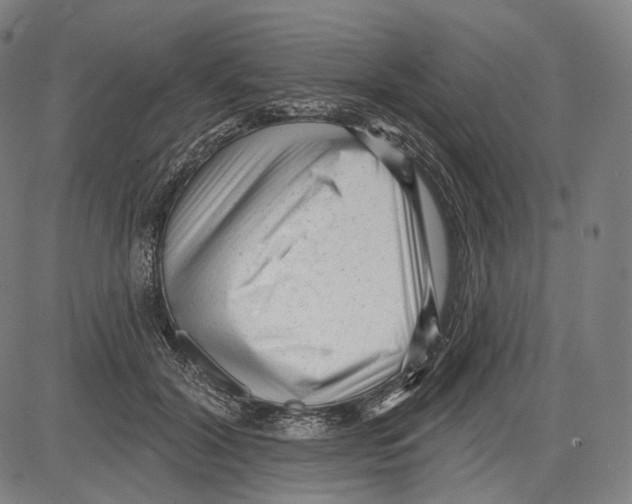 X0000083610604200703121604