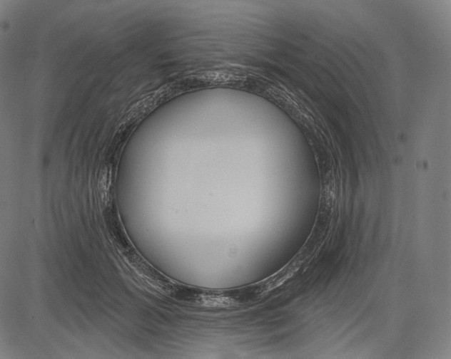 X0000083610605200703121604