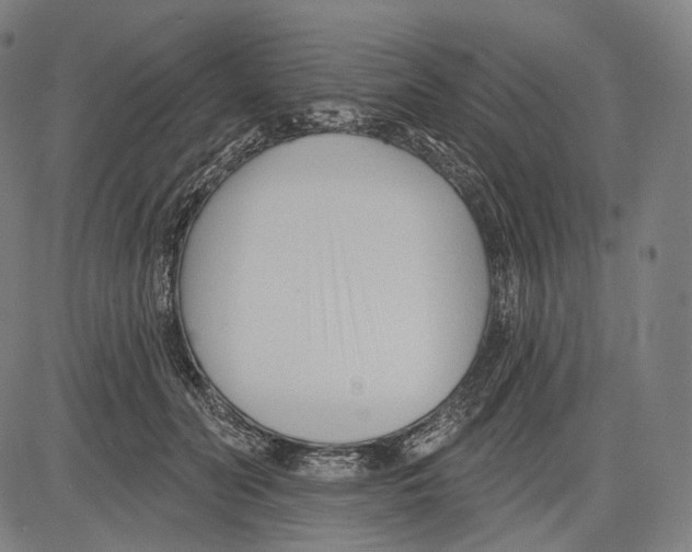 X0000083610606200703121604