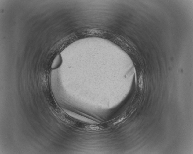 X0000083610607200703121604