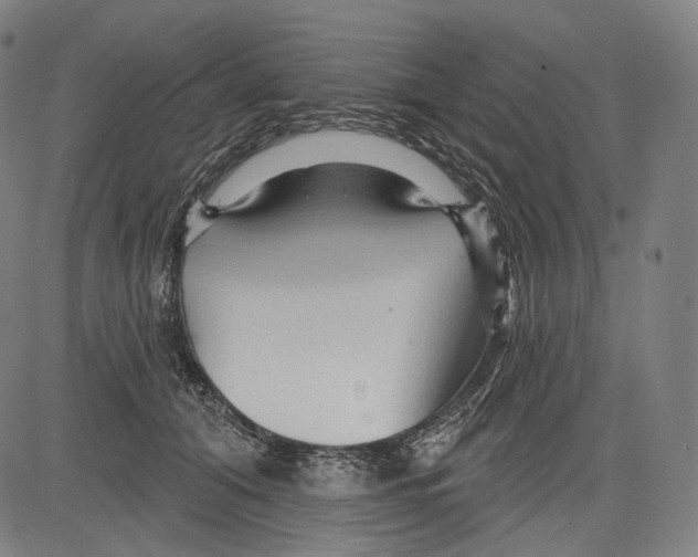 X0000083610608200703121604