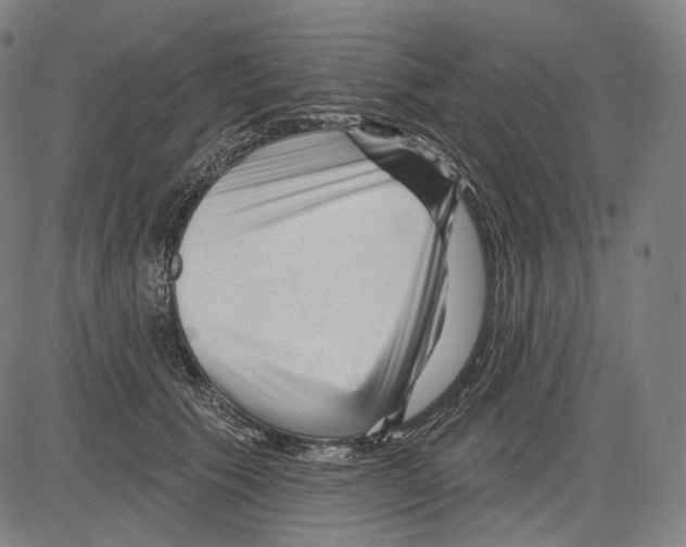 X0000083610609200703121604