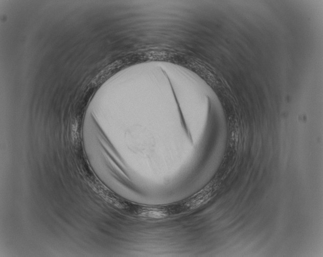 X0000083610610200703121604