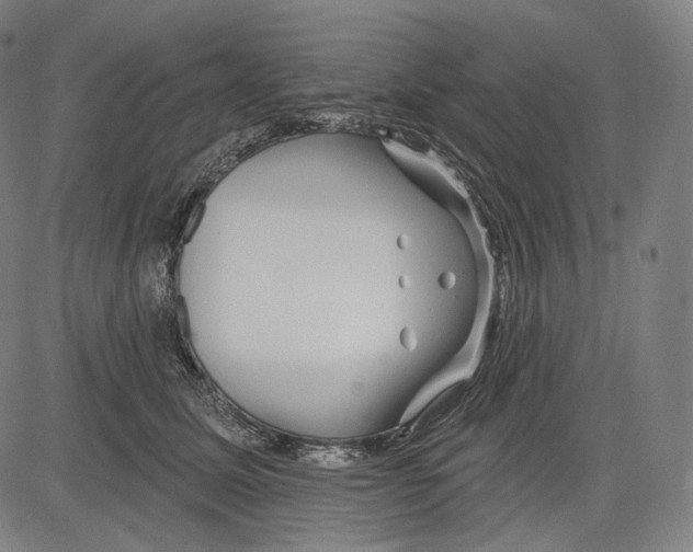 X0000083610611200703121604