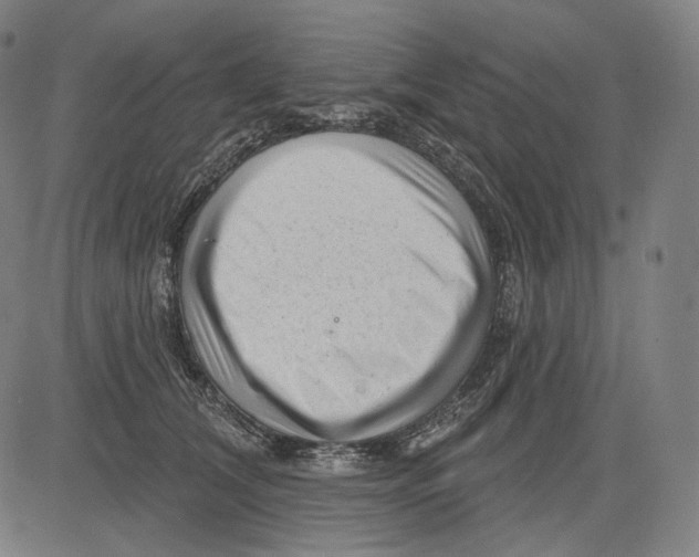 X0000083610612200703121604