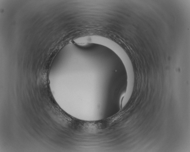 X0000083610613200703121604