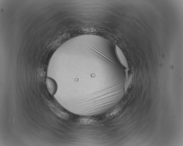 X0000083610614200703121604