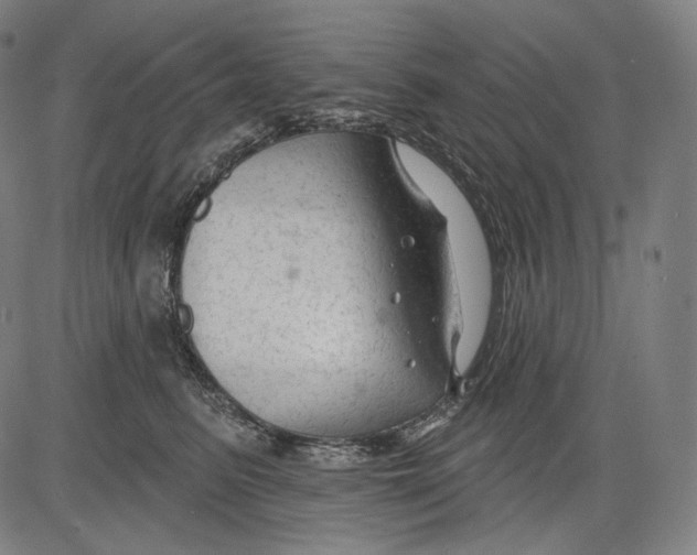 X0000083610615200703121604