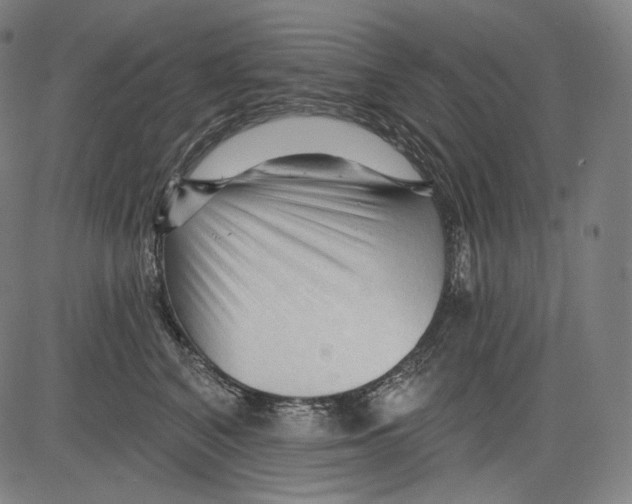 X0000083610616200703121604