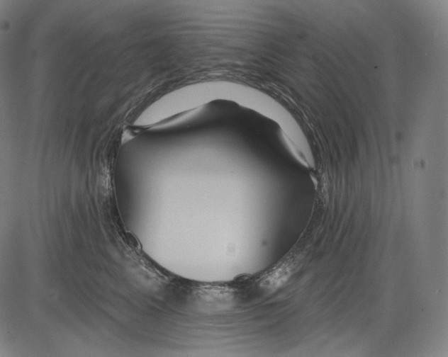 X0000083610617200703121604