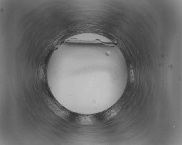 X0000083610618200703121604