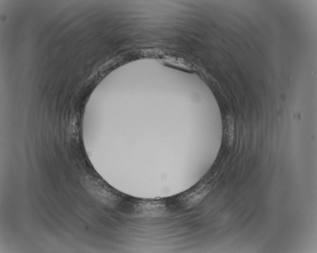 X0000083610619200703121604