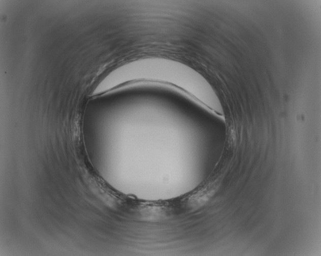 X0000083610620200703121604