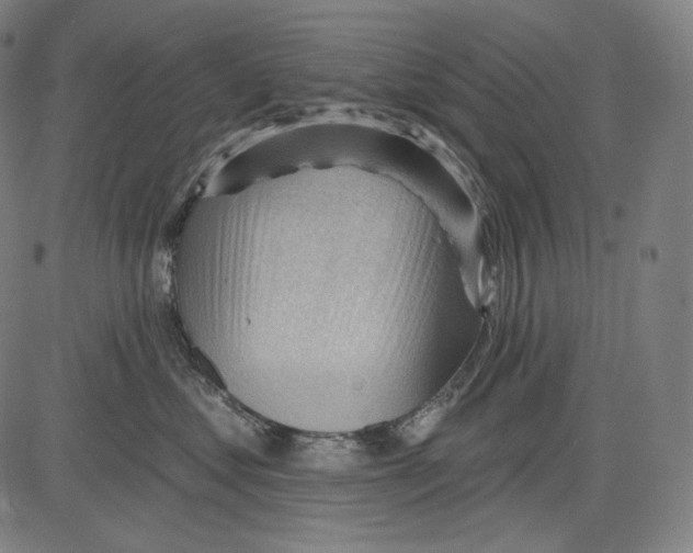 X0000083610621200703121604