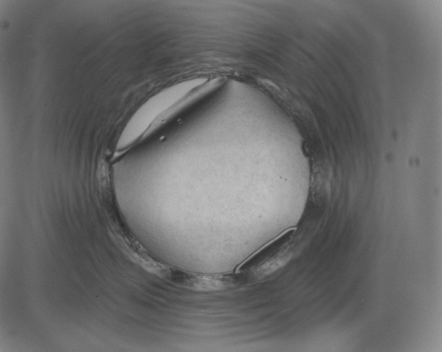 X0000083610623200703121604