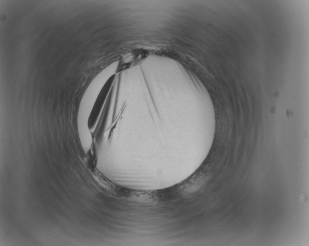 X0000083610624200703121604