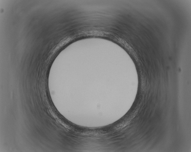 X0000083610625200703121603