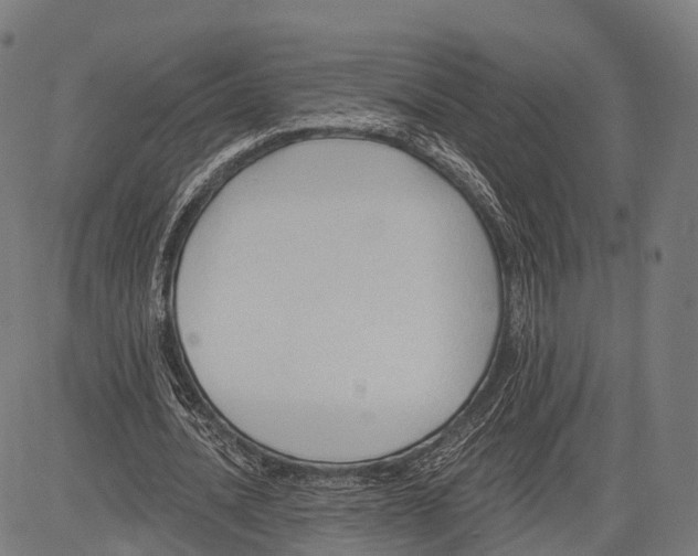 X0000083610628200703121603