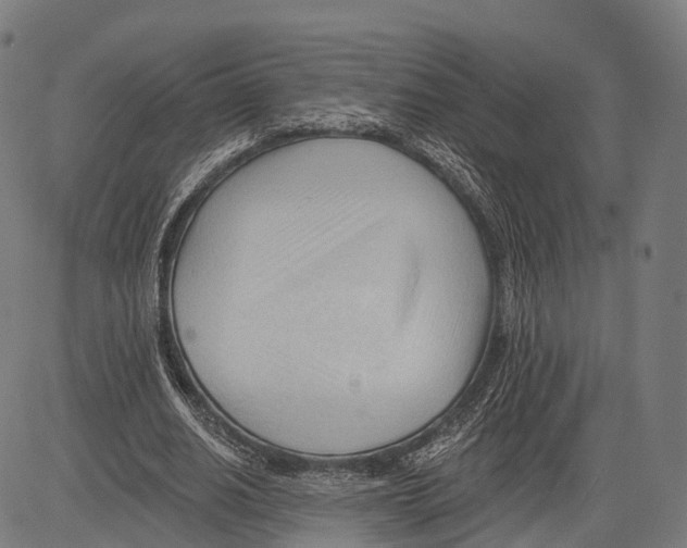 X0000083610630200703121603