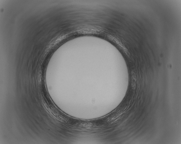 X0000083610631200703121603