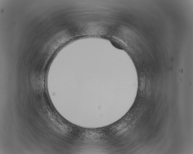 X0000083610632200703121603