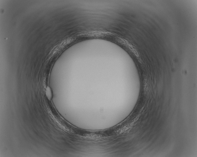 X0000083610633200703121603