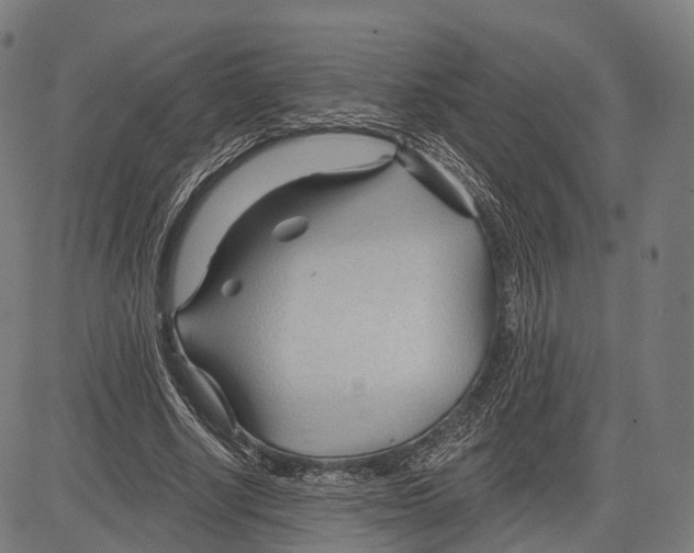 X0000083610634200703121603