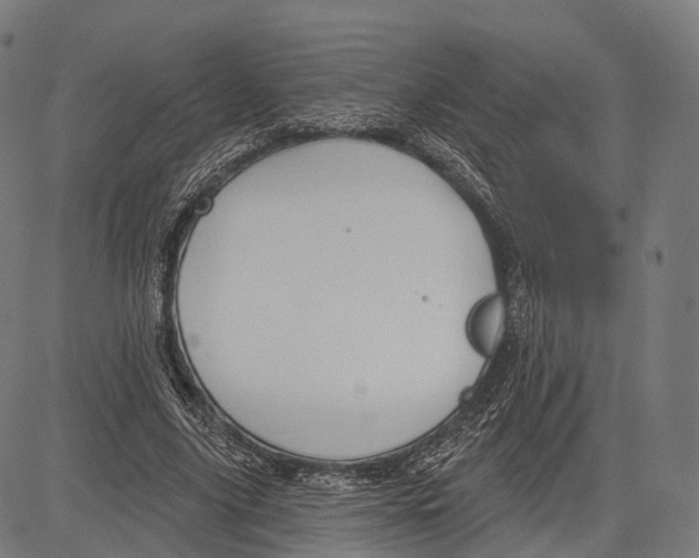 X0000083610635200703121603