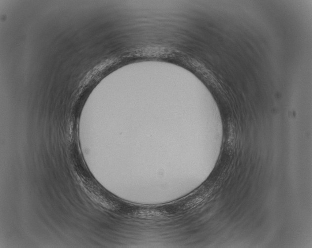 X0000083610636200703121603