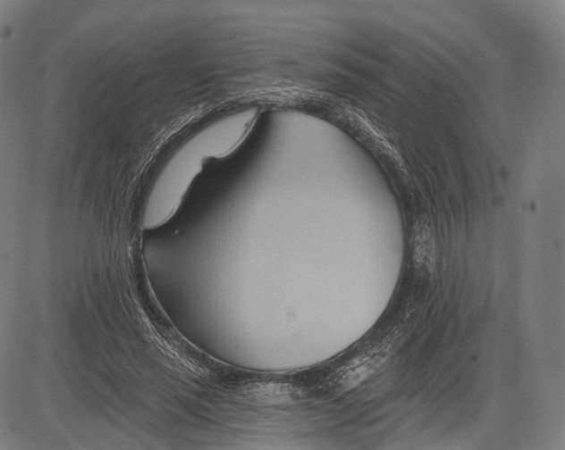 X0000083610637200703121603