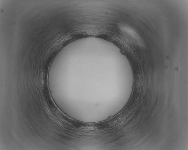 X0000083610639200703121603