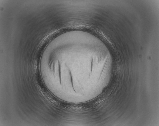 X0000083610640200703121603