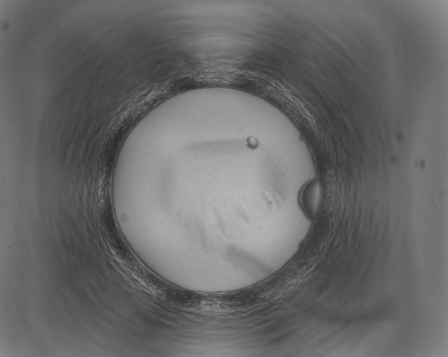 X0000083610641200703121603