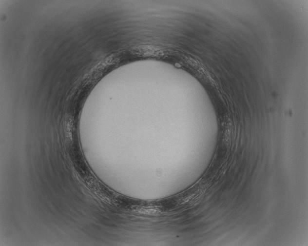 X0000083610643200703121604