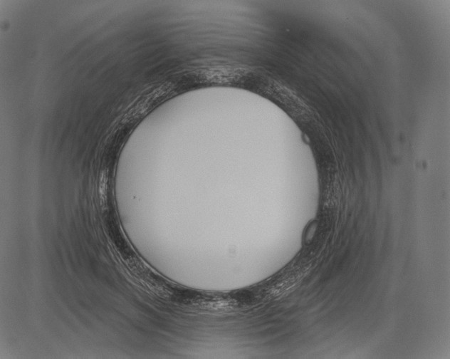 X0000083610646200703121604