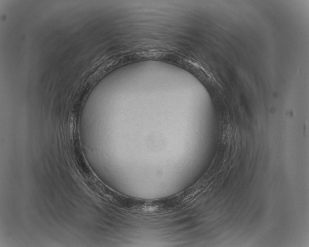 X0000083610647200703121604