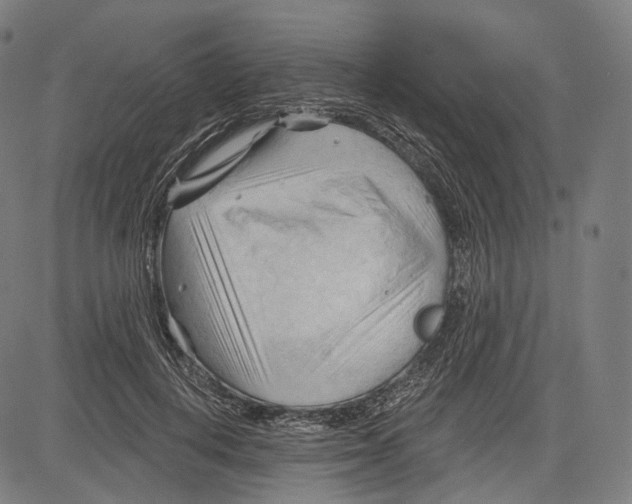 X0000083610648200703121604