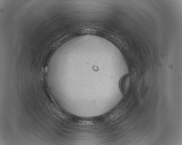 X0000083610649200703121604