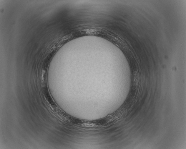 X0000083610650200703121604