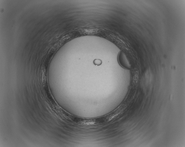 X0000083610651200703121604