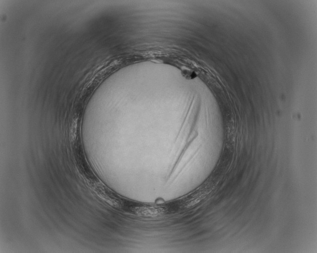 X0000083610652200703121604