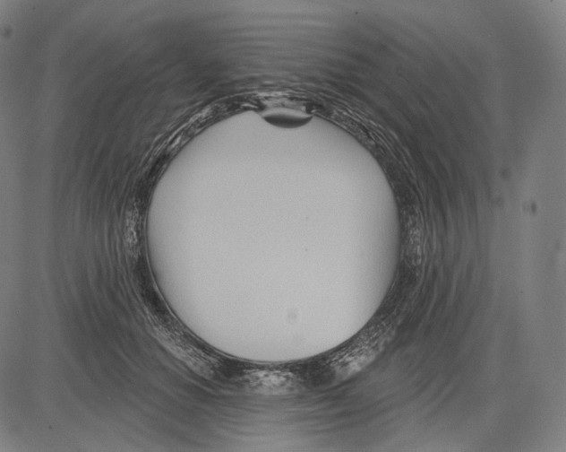 X0000083610654200703121604