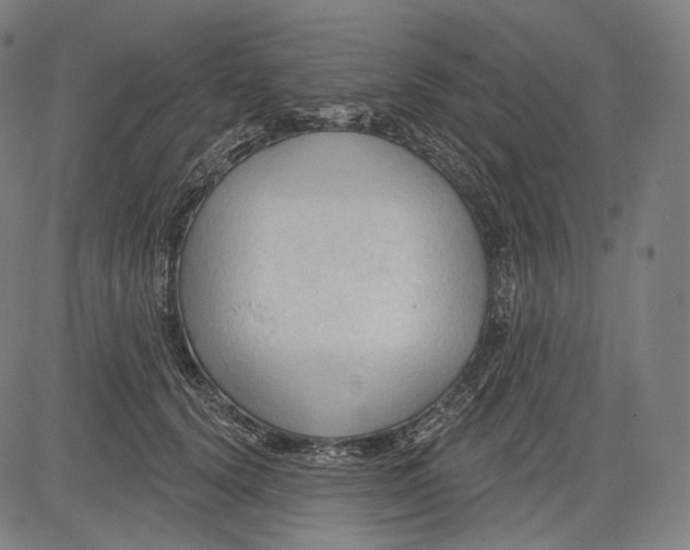 X0000083610656200703121604