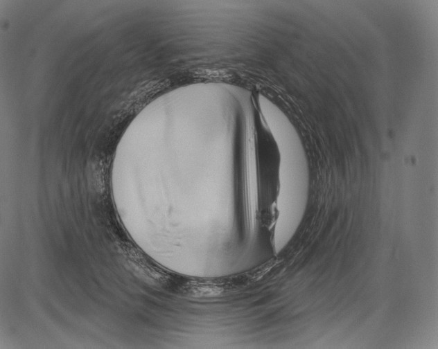 X0000083610658200703121604