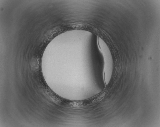 X0000083610660200703121604