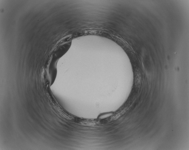 X0000083610661200703121604