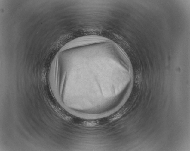 X0000083610662200703121604