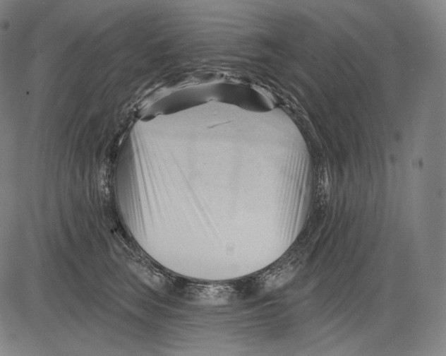 X0000083610663200703121604