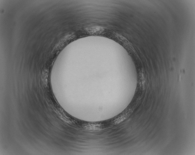 X0000083610664200703121604