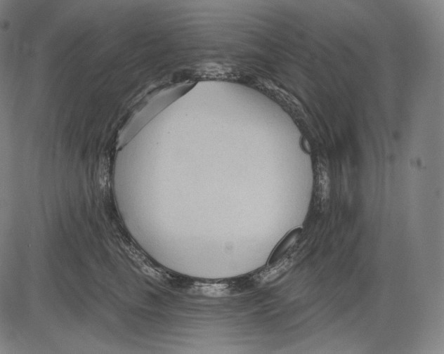 X0000083610665200703121604